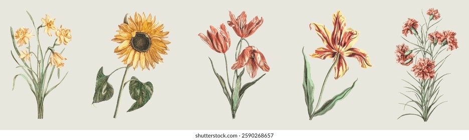 Illustration of five different flowers, including daffodils, sunflower, tulips, lily, and carnations, each with unique colors and shapes, arranged in a row. Floral illustrations, isolated vector set.