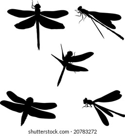 illustration with five dragonfly silhouettes isolated on white