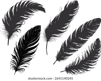 illustration with five feathers isolated on white background