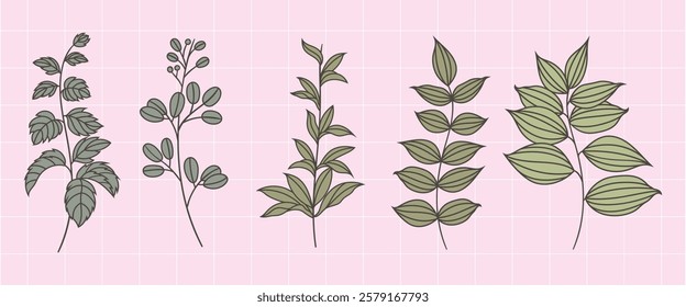 Illustration of five green leafy plants on a pink grid background. Each plant has distinct leaves, showcasing various leaf shapes and arrangements. Spring flower illustrations, isolated vector set.