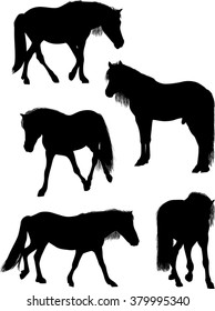 ilustração com cinco cavalos isolados sobre fundo branco