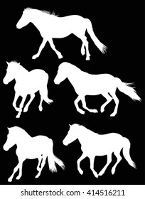 illustration with five horses isolated on black background