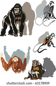 illustration with five monkeys isolated on white background