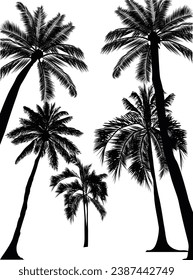 illustration with five palm trees isolated on white background