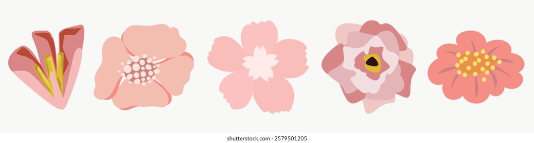 Illustration of five pink flowers in a row, each with unique shapes and shades. Pink flowers with varied designs, showcasing floral diversity in pink hues. Spring flower illustrations, vector set.