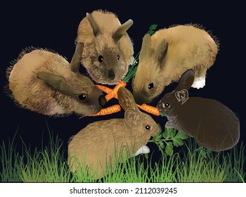 illustration with five rabbits eating carrots isolated on black background
