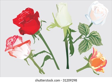ilustración con cinco flores rosadas