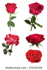 ilustración con cinco flores rosadas aisladas en fondo blanco