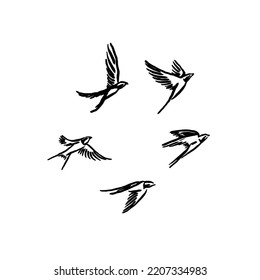 illustration of five swallow icons in a very simple but unique and attractive vintage creation style