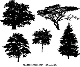 illustration with five tree silhouettes isolated on white background