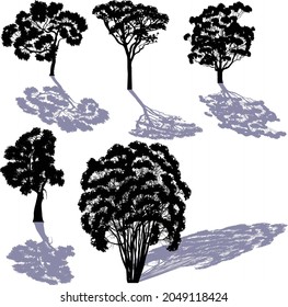 illustration with five trees isolated on white background