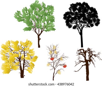 illustration with five trees isolated on white background