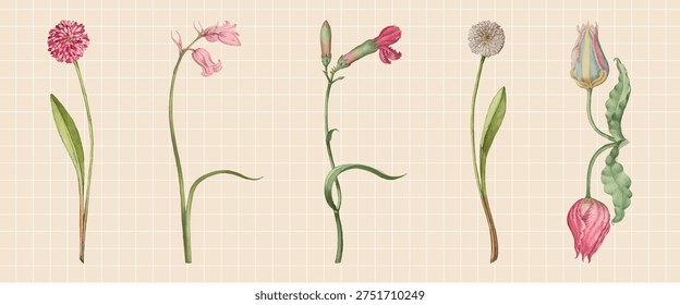 Illustration of five unique flowers on a grid background. Each flower is distinct, showcasing different shapes and colors. Botanical art with delicate flower details. Watercolor element vector set.