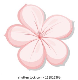 Illustration of a five-petal pink flower on a white background