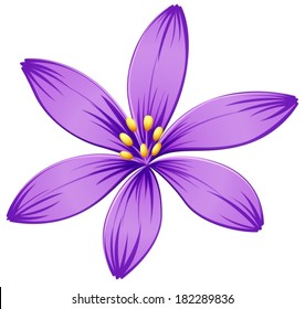 Illustration of a five-petal purple flower on a white background