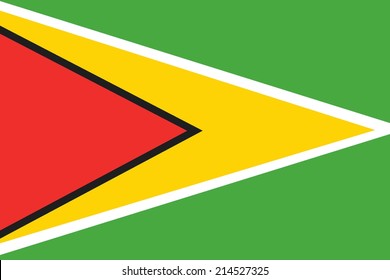 An Illustration of the flag of Guyana