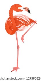 Illustration of a Flamingo