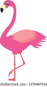 Illustration of flamingo