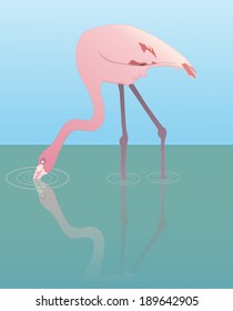 An illustration of a flamingo