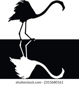 illustration with flamingo outlines isolated on black and white background