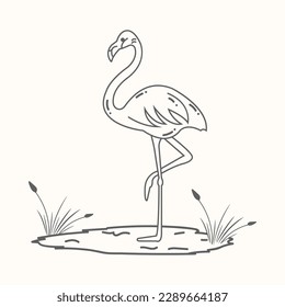 illustration d'un flamant se tenant sur une jambe dans un marais