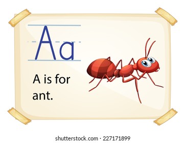 illustration of a flashcard letter A for ant