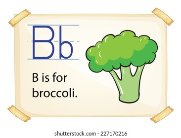 illustration of a flashcard letter B for broccoli