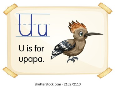 Illustration of a flashcard with letter U