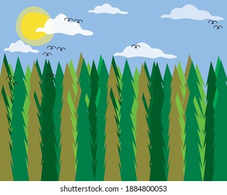 Ilustración plana y hermosa vista del bosque de pinos