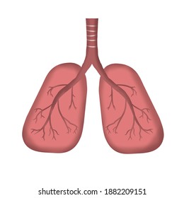 Illustration flat design human lungs icon. Human internal organ, anatomy concept, respiratory system. 