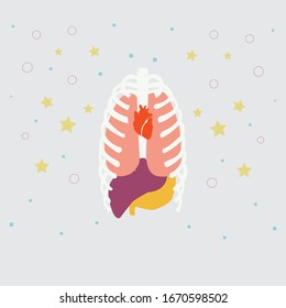 
Illustration der flachen Gestaltung der inneren Organe der Vektorillustration des menschlichen Körpers, isolierter Hintergrund