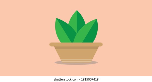 illustration Flat Design Potted Plants