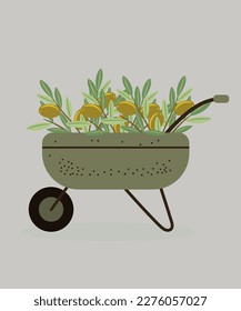 Illustration Flat Design Wheelbarrow with Olive