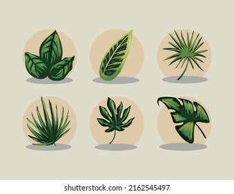 illustration of flat realistic leaves set