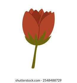 Ilustración de un tulipán rojo plano aislado en blanco. Herbario, flor seca, tallo con un brote medio cerrado. ilustración simple de motivos botánicos. Diseño para imprimir tarjetas de felicitación, invitaciones, tela