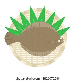 Illustration von Plattfischen auf einem Kolander.