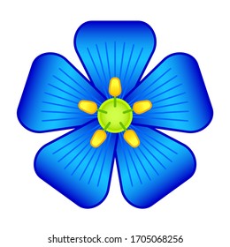 Illustration of the flax flower head