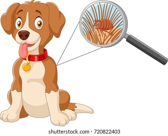 Illustration of flea Infested Dog