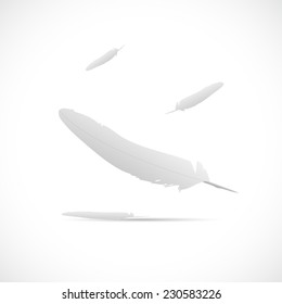 Illustration of a floating feathers isolated on a white background.