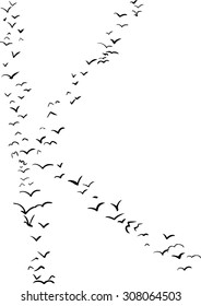 Illustration of a flock of birds in the shape of the letter k