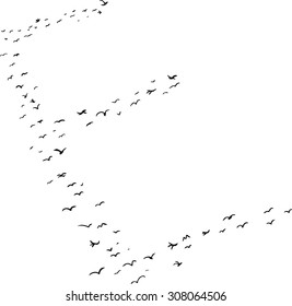 Illustration of a flock of birds in the shape of the letter e