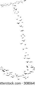 Illustration of a flock of birds in the shape of the letter j