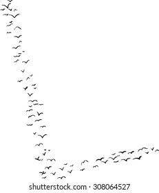 Illustration of a flock of birds in the shape of the letter l