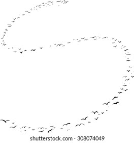 Illustration of a flock of birds in the shape of the letter s