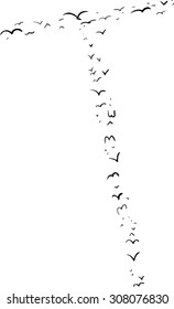 Illustration of a flock of birds in the shape of the letter t