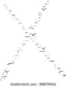 Illustration of a flock of birds in the shape of the letter x