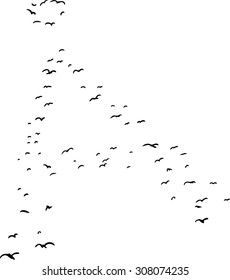 Illustration of a flock of birds in the shape of the ringed a letter