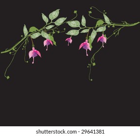 Illustration of a floral background