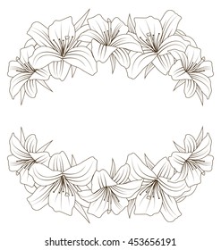 Illustration Floral Background with Beautiful Lilies. Flowers in Hand Drawn Style and Isolated on White Background - Vector