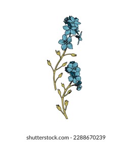 Ilustración de elementos botánicos florales sobre fondo blanco aislado. Ilustración vectorial.